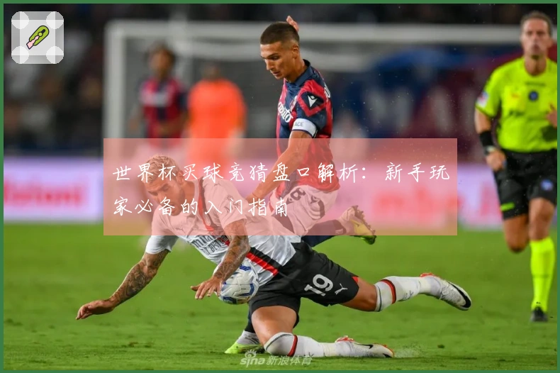 世界杯买球竞猜盘口解析：新手玩家必备的入门指南