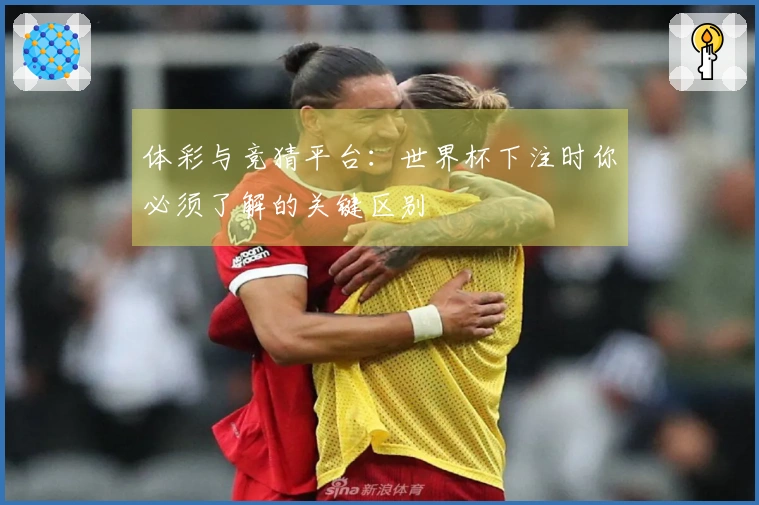 体彩与竞猜平台:世界杯下注时你必须了解的关键区别