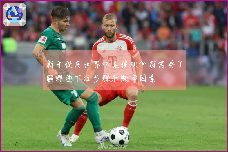 新手使用世界杯竞猜软件前需要了解哪些下注步骤和赔率因素