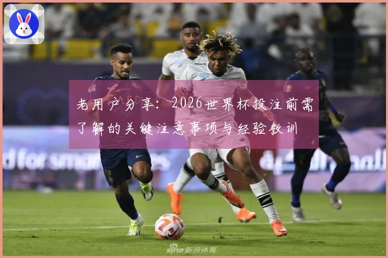 老用户分享：2026世界杯投注前需了解的关键注意事项与经验教训