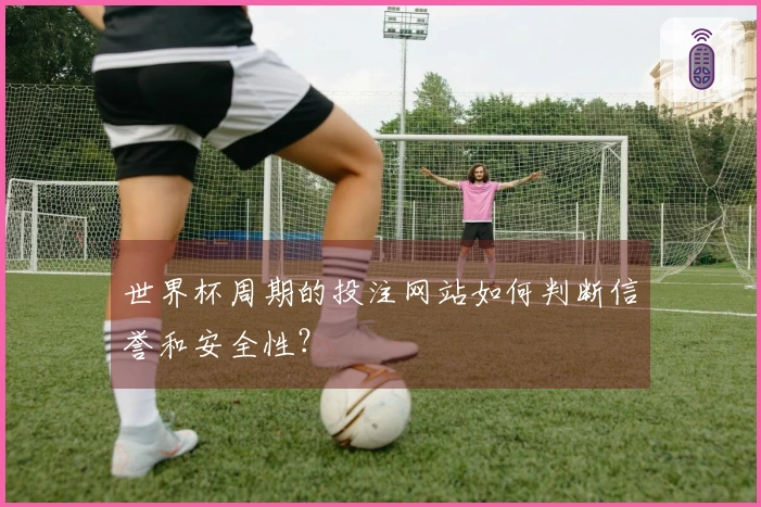 世界杯周期的投注网站如何判断信誉和安全性？