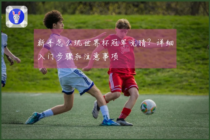 新手怎么玩世界杯冠军竞猜？详细入门步骤和注意事项