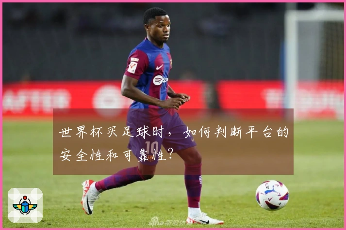世界杯买足球时，如何判断平台的安全性和可靠性？