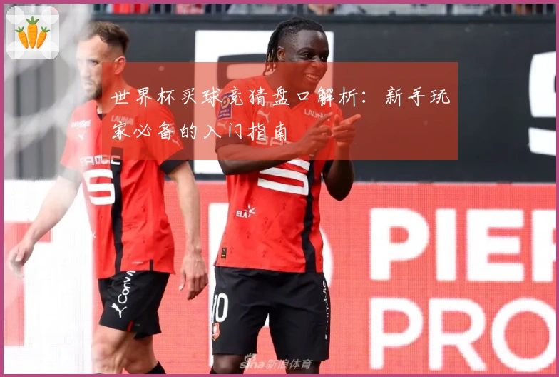 世界杯买球竞猜盘口解析：新手玩家必备的入门指南