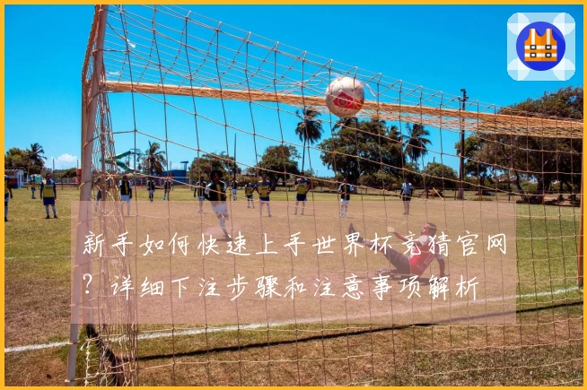 新手如何快速上手世界杯竞猜官网？详细下注步骤和注意事项解析