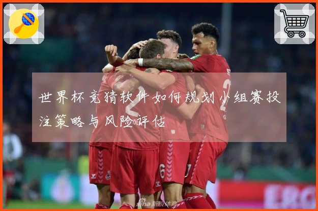 世界杯竞猜软件如何规划小组赛投注策略与风险评估