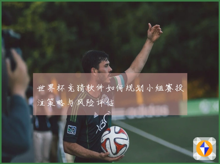 世界杯竞猜软件如何规划小组赛投注策略与风险评估