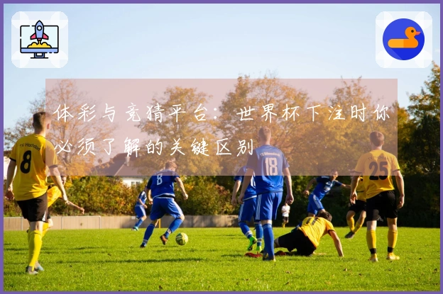体彩与竞猜平台：世界杯下注时你必须了解的关键区别